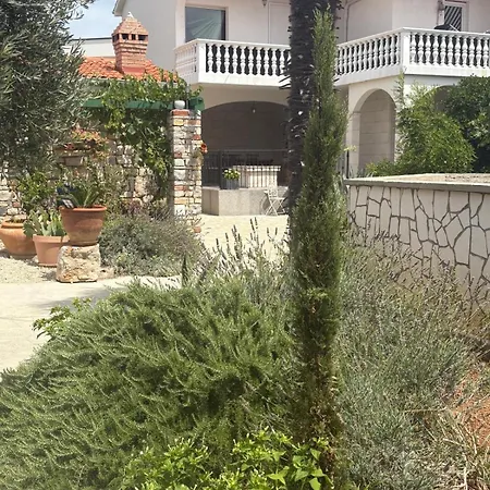 Daniela Apartmán Vir