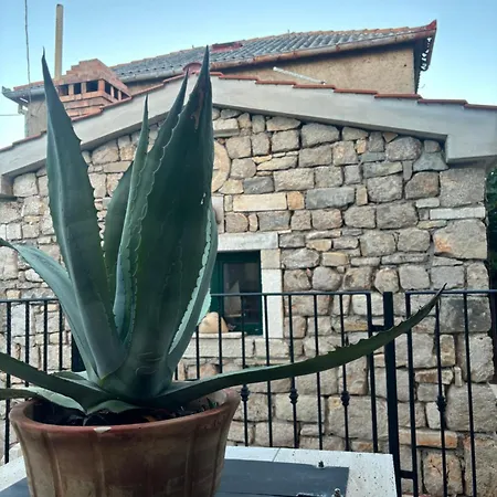 Daniela Appartement *